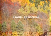 老式收音机，岁月里的悠扬回响