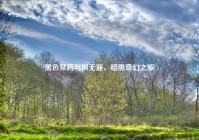 黑色禁药与枫无涯，暗黑奇幻之旅