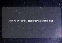 CSGO 与 1050 显卡，性能适配与游戏体验解析
