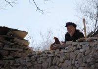 孤独四字短句(可是却不愿意去和别人交朋友)