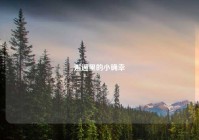 邂逅里的小确幸