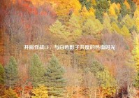 并肩作战CF，与白色影子共度的热血时光