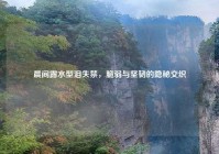 晨间露水型泪失禁，脆弱与坚韧的隐秘交织