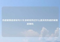 伤感爱情语录短句十字,你听经历过什么真实的伤感的爱情故事吗