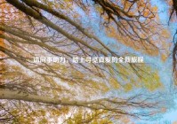 请同事助力，踏上寻觅真爱的全新旅程