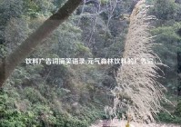 饮料广告词搞笑语录(元气森林饮料的广告词)