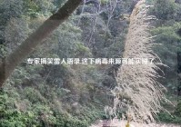 专家搞笑雷人语录,这下病毒来源可能实锤了