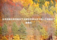 分手后前任有女朋友了,女朋友和我分手不到一个月就谈了新男友