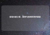 密室心跳之旅，脱单与接吻的奇妙邂逅