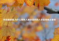 怕恋爱教程,为什么有些人遇到喜欢的人会觉得有点害怕