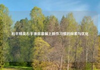 和平精英右手滑屏幕偏上操作习惯的探索与优化
