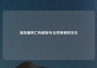 朋友圈死亡伤感短句,去世爸爸的生日