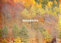 我的宝藏男朋友