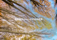 熄屏聊天,iphone13不会自动息屏