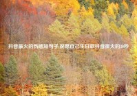 抖音最火的伤感短句子,祝愿自己生日歌抖音很火的30秒