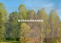 聊天的来历,网络水的由来