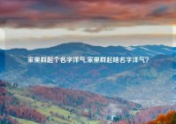 家里群起个名字洋气,家里群起啥名字洋气？