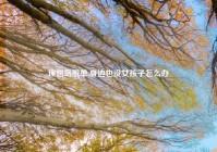 理想岛脱单,身边也没女孩子怎么办