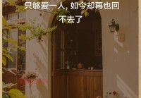 最打动人心的情感说说，揭示爱情中的真谛