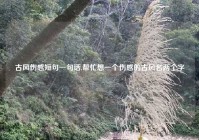 古风伤感短句一句话,帮忙想一个伤感的古风名两个字