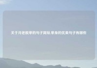 关于月老脱单的句子简短,单身的优美句子有哪些