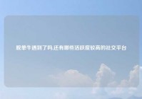 脱单牛遇到了吗,还有哪些活跃度较高的社交平台