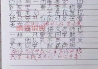 爆笑！我想找媳妇零分作文，小学生择偶标准大公开！