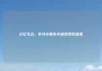 记忆毛边，岁月中那些未被修剪的温情