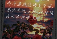 关于情感的那些心酸瞬间，你是否经历过？