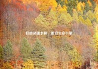 打破灵魂卡顿，重启生命引擎