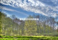 爱与猜忌交织的漩涡