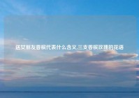 送女朋友香槟代表什么含义,三支香槟玫瑰的花语