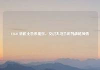 CSGO 里的土色系美学，交织大地色彩的战场风情