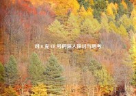 对 0 充 CF 号的深入探讨与思考