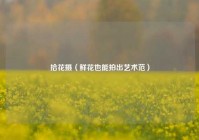 拾花摄（鲜花也能拍出艺术范）