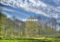 勇敢出发寻脱单