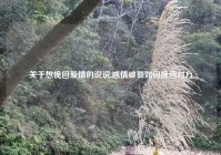 关于想挽回爱情的说说,感情破裂如何挽回对方