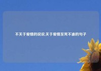 不关于爱情的说说,关于爱情至死不渝的句子