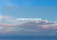 王者荣耀恢复手感全解指南