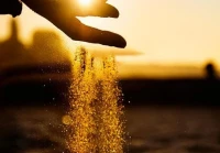 语录 治愈(原生家庭对一个人的影响到底有多大)