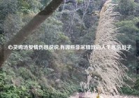 心灵鸡汤爱情伤感说说,有哪些非常精致的人生感悟句子