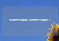 再次遇到爱情的说说,有哪些饱含深情的句子