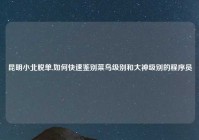 昆明小北脱单,如何快速鉴别菜鸟级别和大神级别的程序员