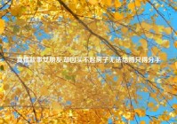 真情故事女朋友,却因买不起房子无法结婚只得分手