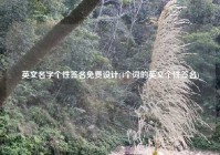 英文名字个性签名免费设计(4个词的英文个性签名)