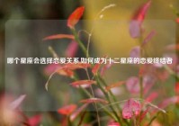 哪个星座会选择恋爱关系,如何成为十二星座的恋爱终结者