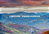 止痛药与诗歌，灵魂困境中的救赎交响