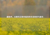 截肢术，从聊天记录中窥见的生命转折与重生