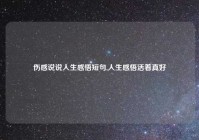 伤感说说人生感悟短句,人生感悟活着真好