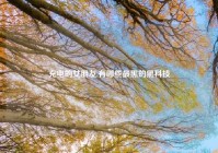 充电的女朋友,有哪些最黑的黑科技